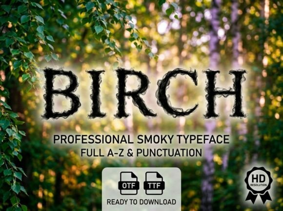 Birch: The Premium Display Font for Scroll-Stopping Campaigns