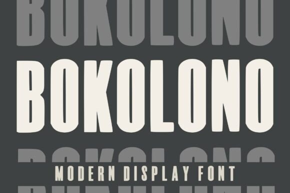 Bokolono: The Bold Modern Display Font for Business Branding